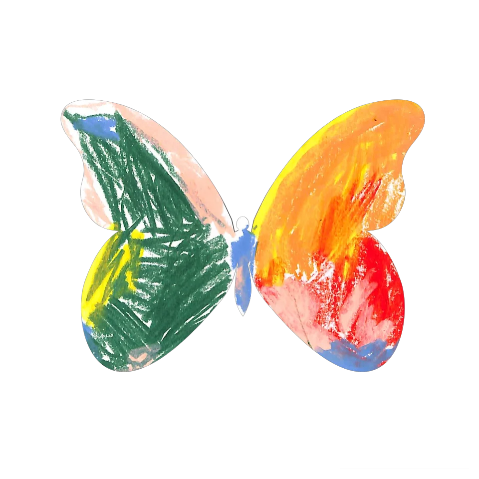 Original Butterfly Image