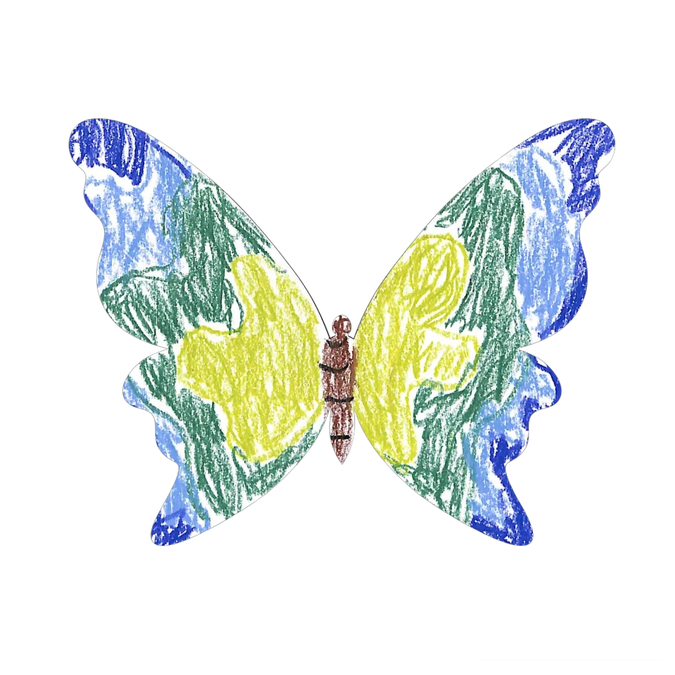 Original Butterfly Image