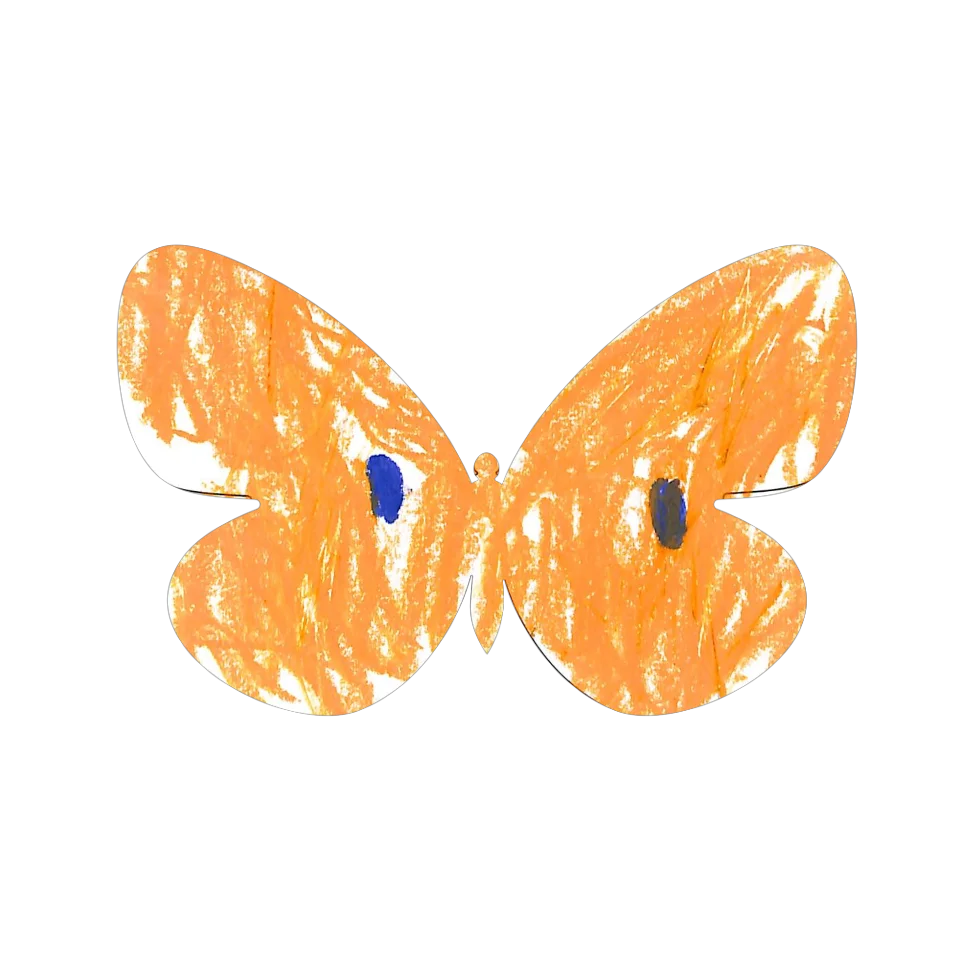Original Butterfly Image
