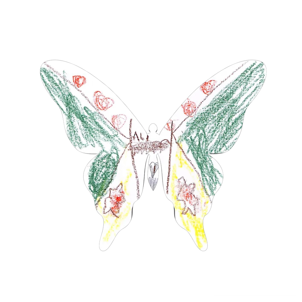 Original Butterfly Image