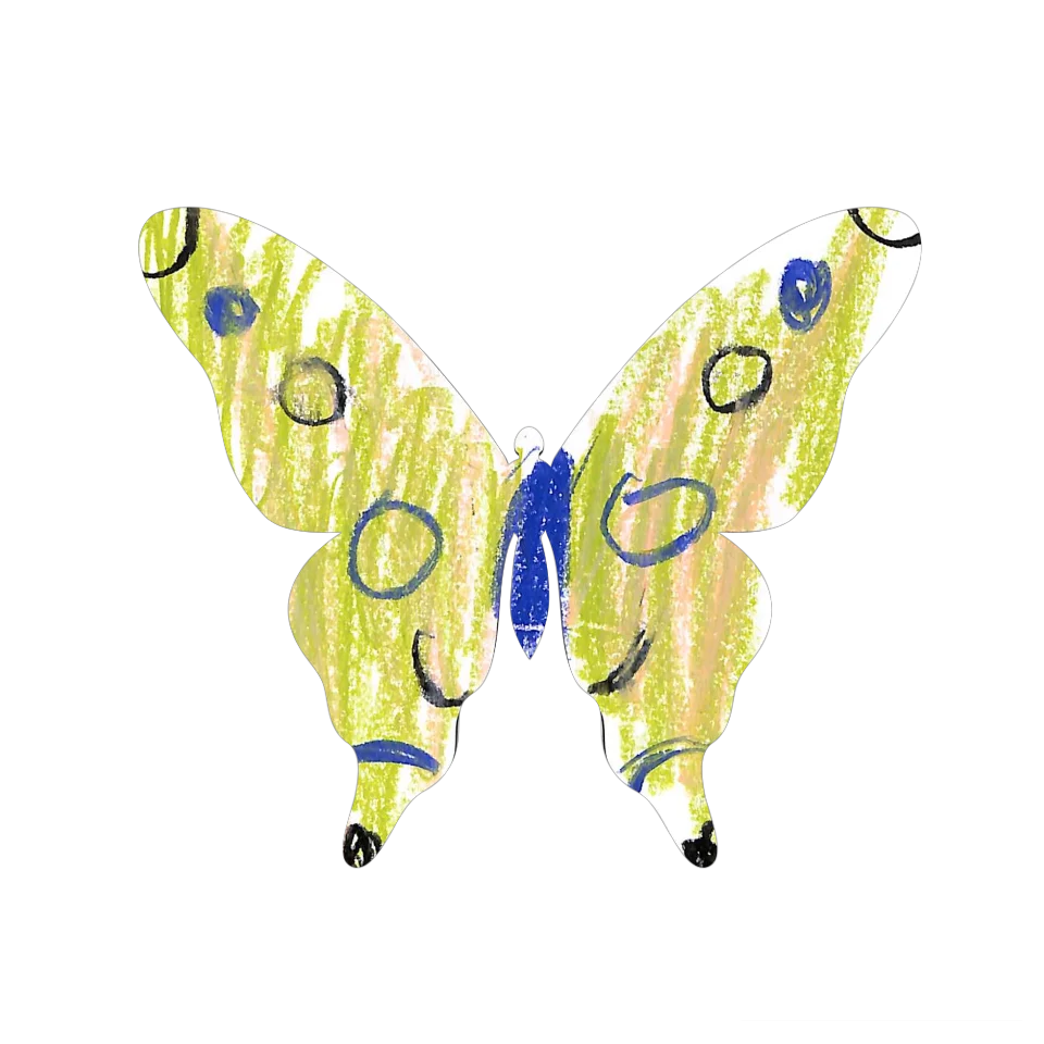 Original Butterfly Image