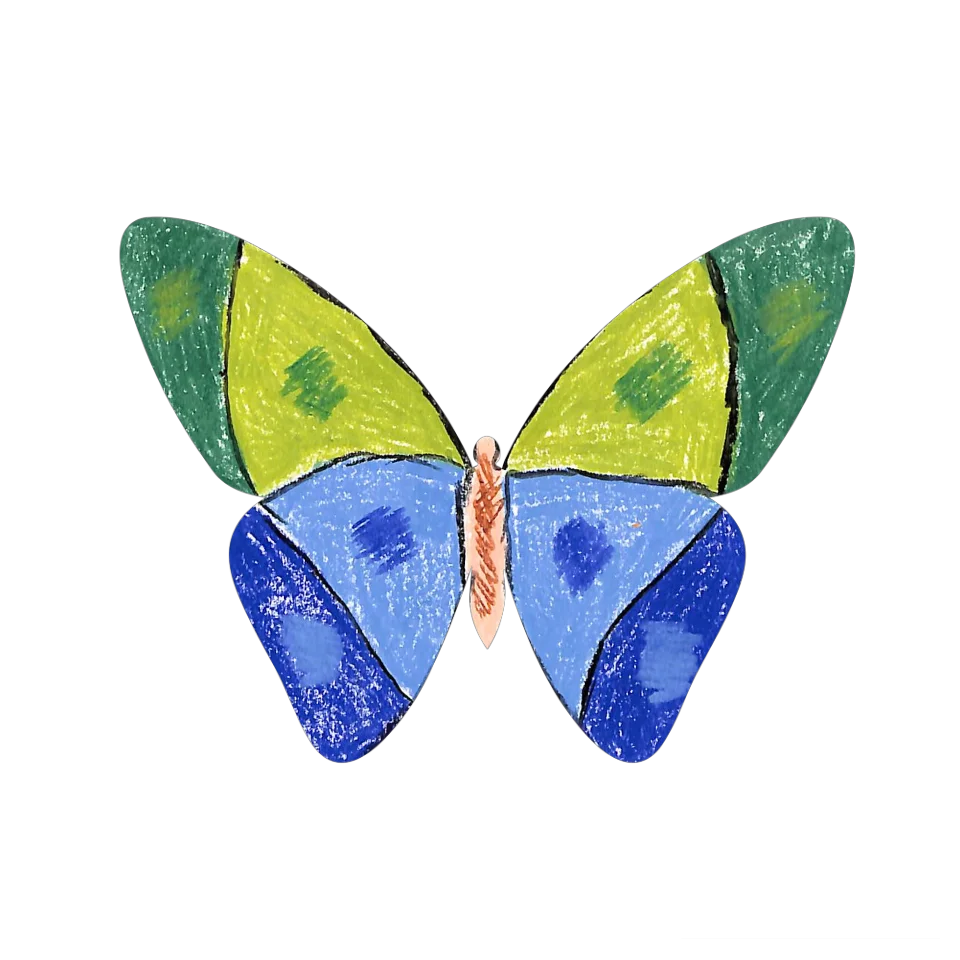 Original Butterfly Image