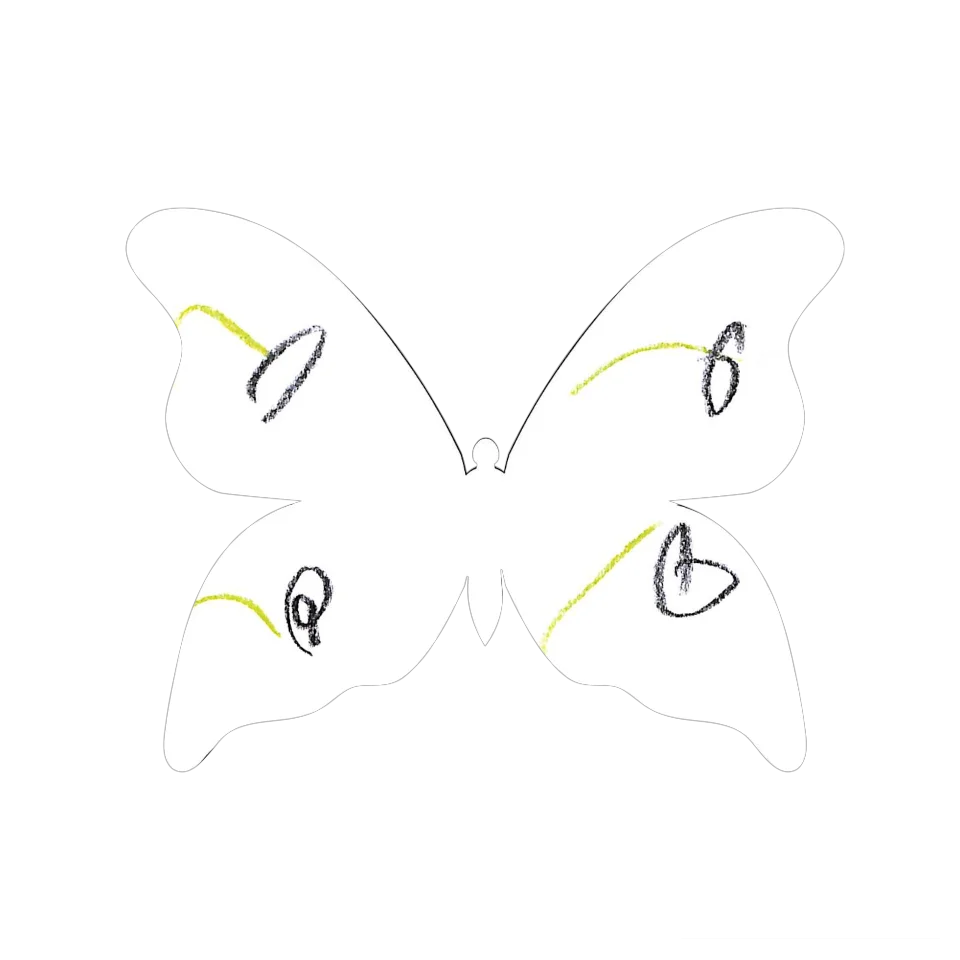 Original Butterfly Image