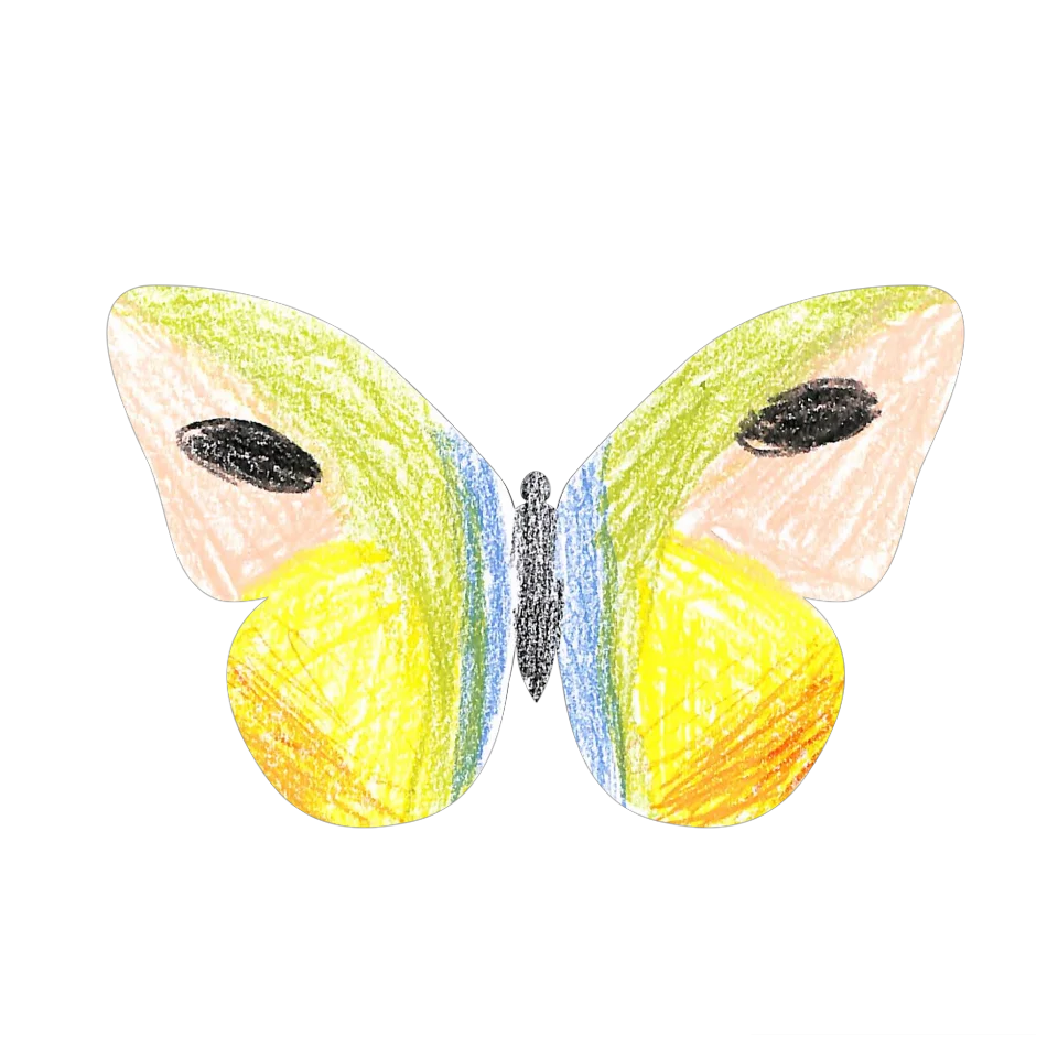 Original Butterfly Image