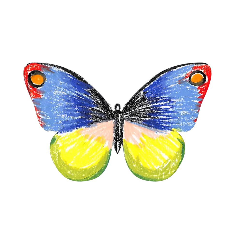 Original Butterfly Image