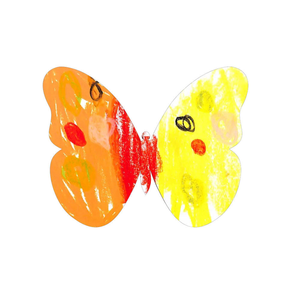 Original Butterfly Image