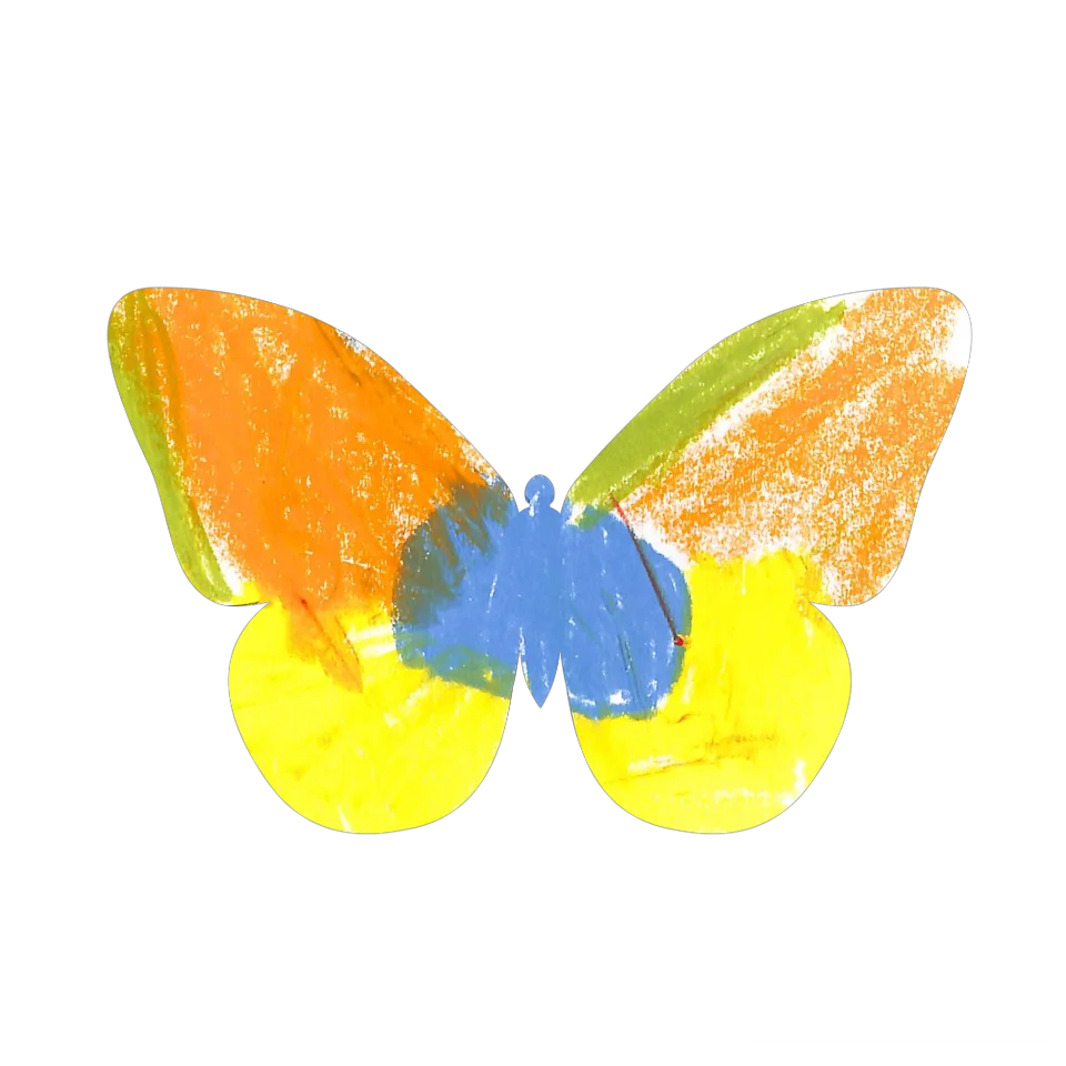 Original Butterfly Image