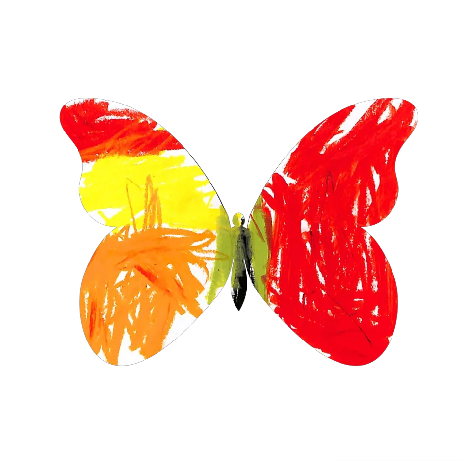 Original Butterfly Image