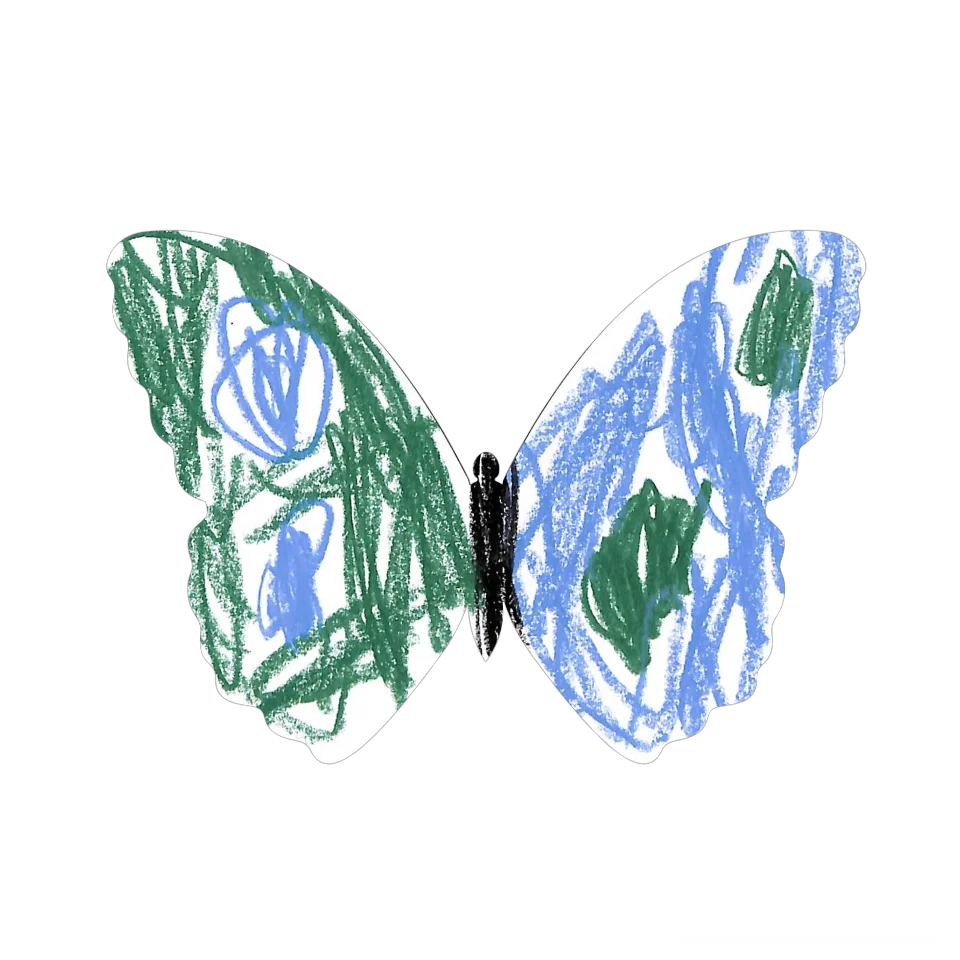 Original Butterfly Image