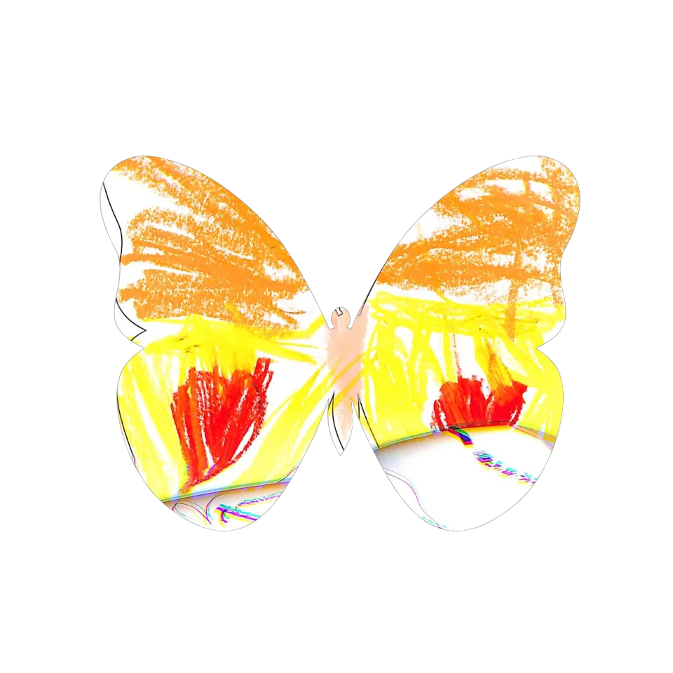 Original Butterfly Image
