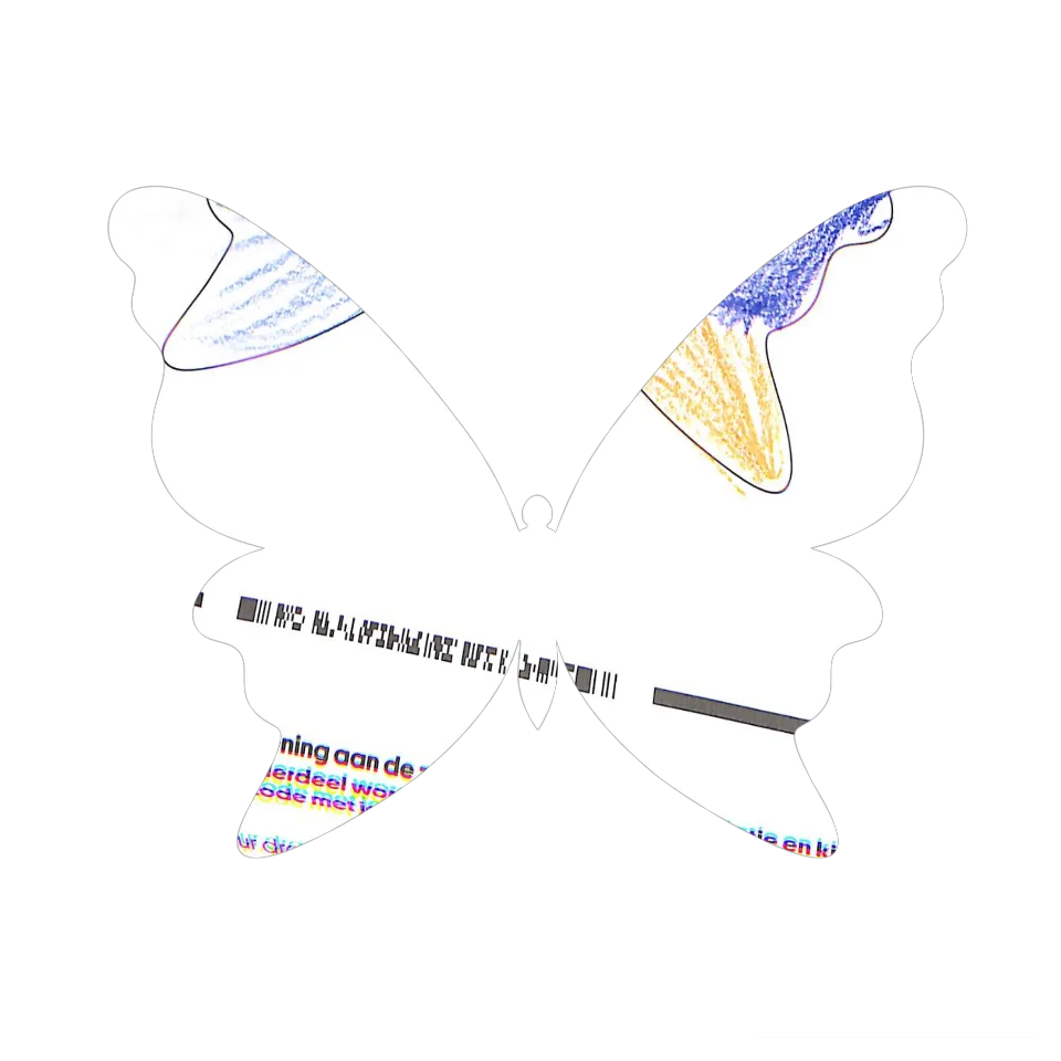 Original Butterfly Image