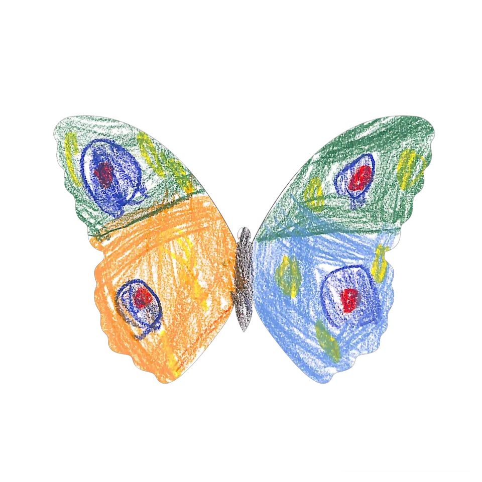 Original Butterfly Image