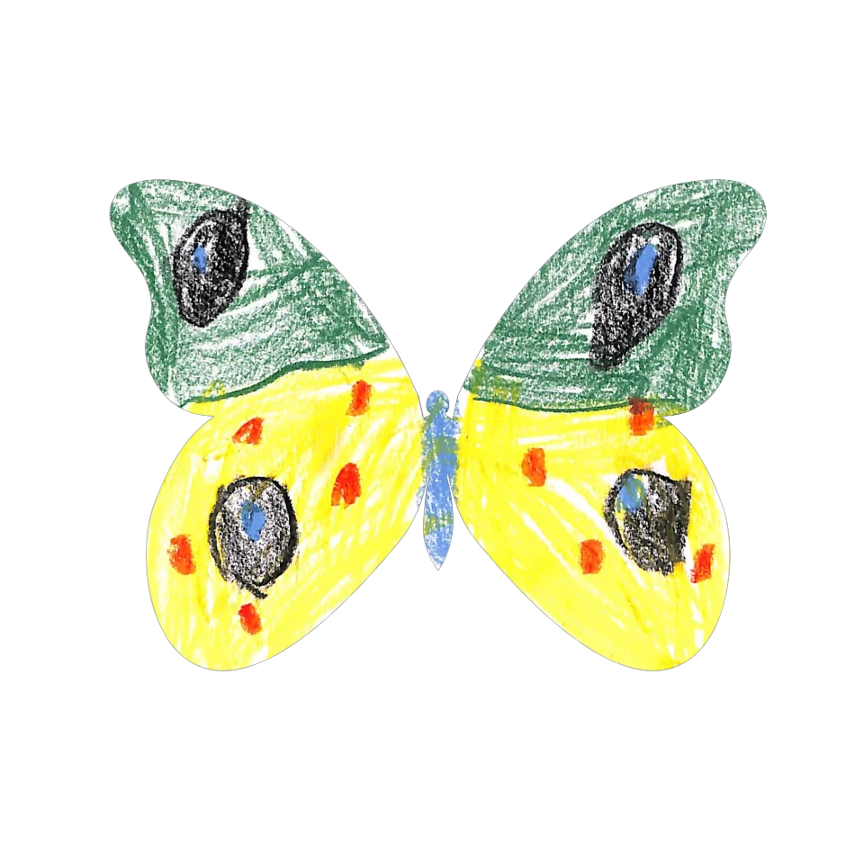 Original Butterfly Image