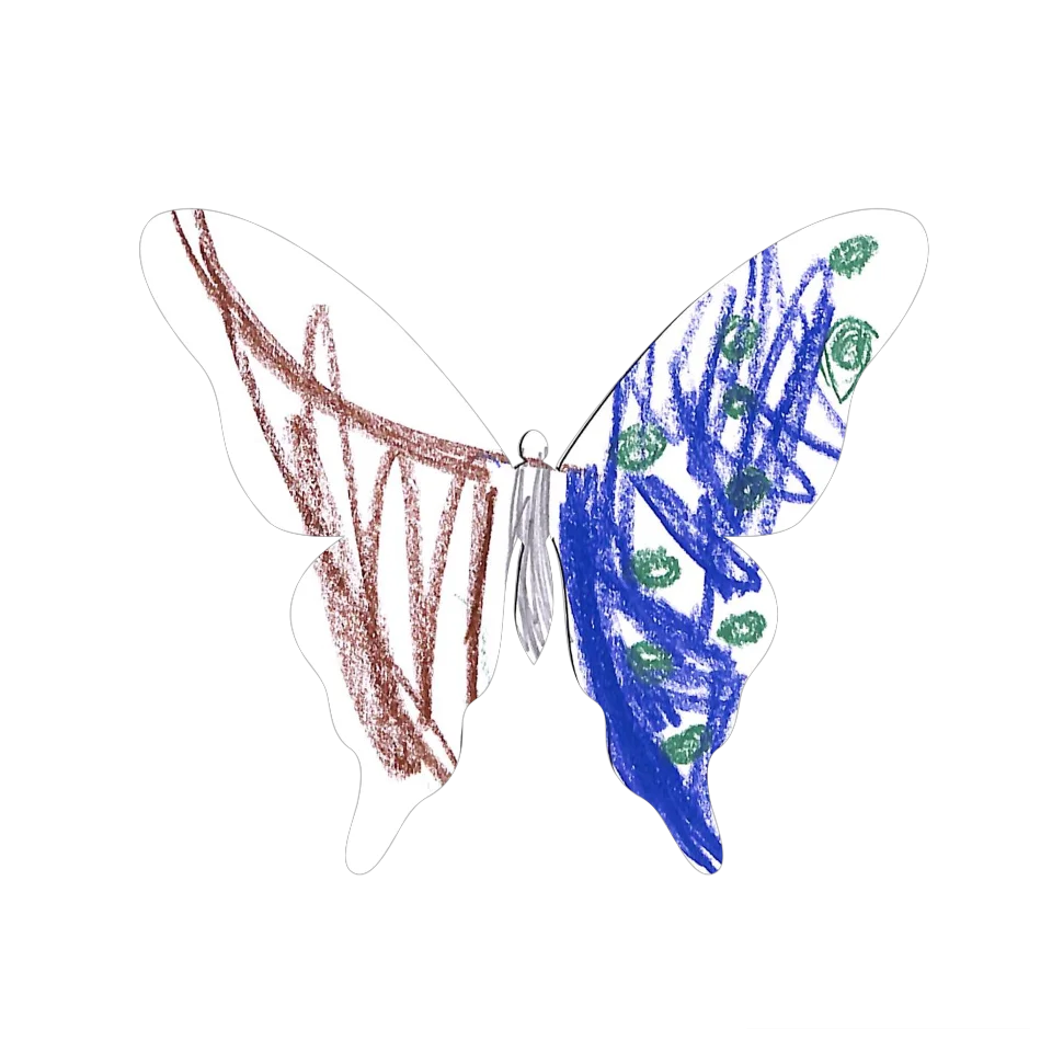 Original Butterfly Image