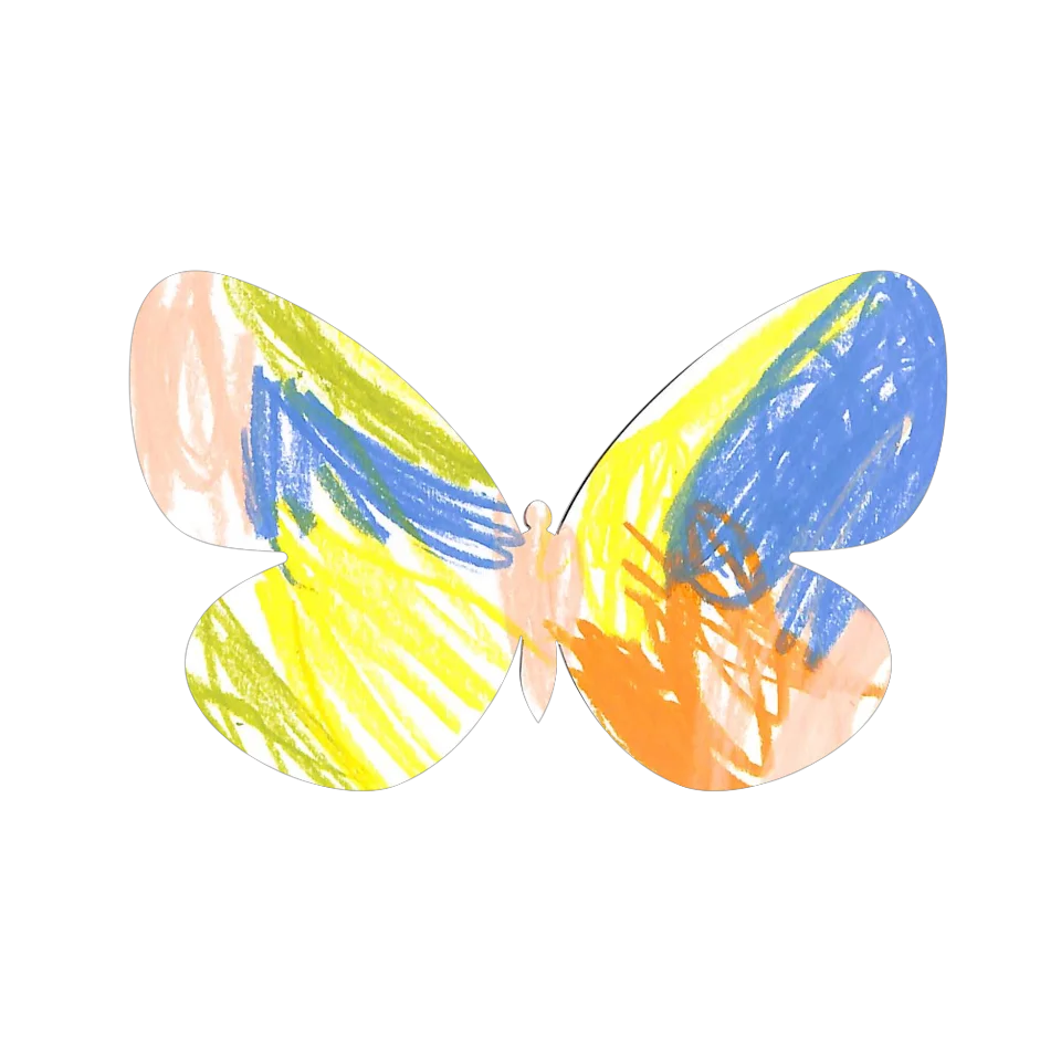 Original Butterfly Image