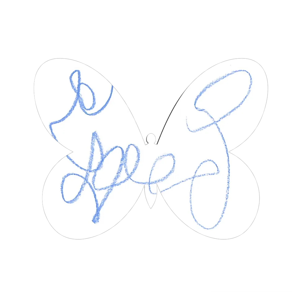 Original Butterfly Image