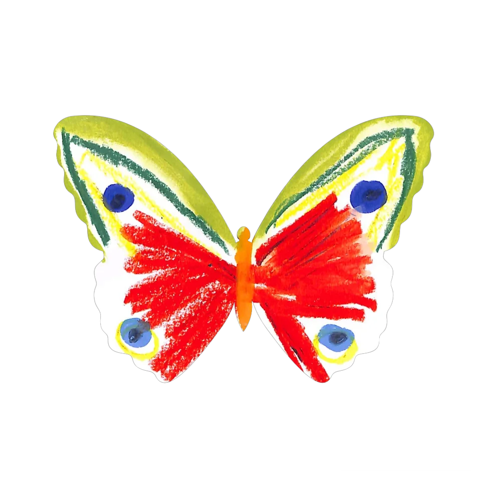 Original Butterfly Image