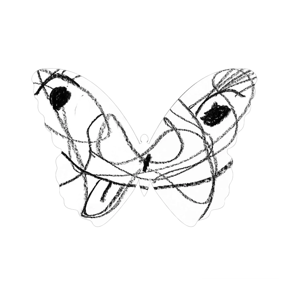 Original Butterfly Image