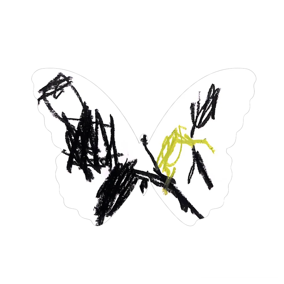 Original Butterfly Image