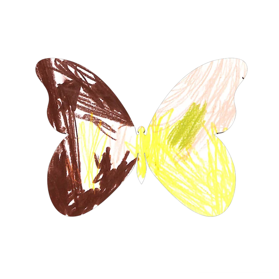 Original Butterfly Image