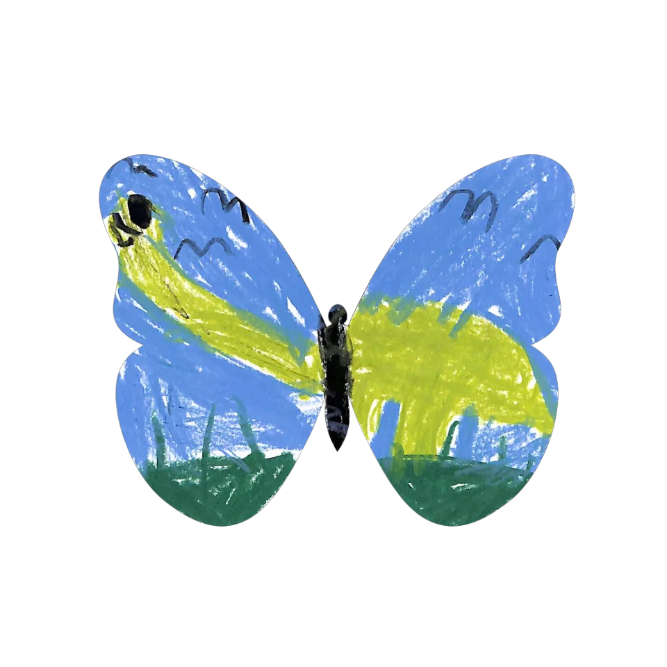 Original Butterfly Image