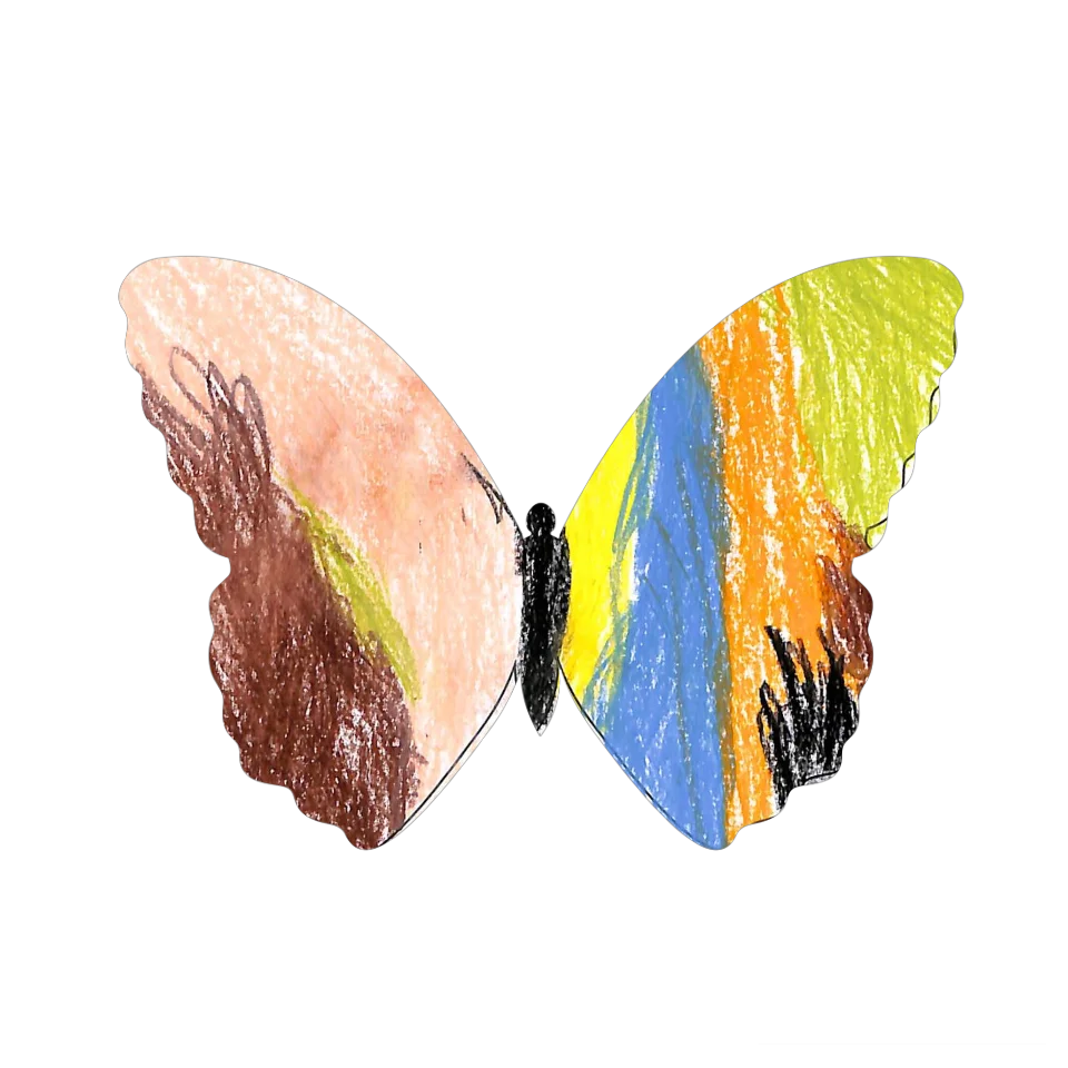 Original Butterfly Image