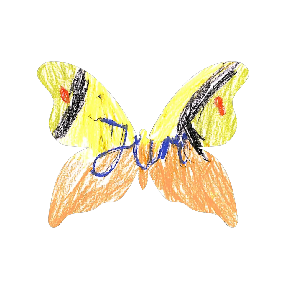 Original Butterfly Image