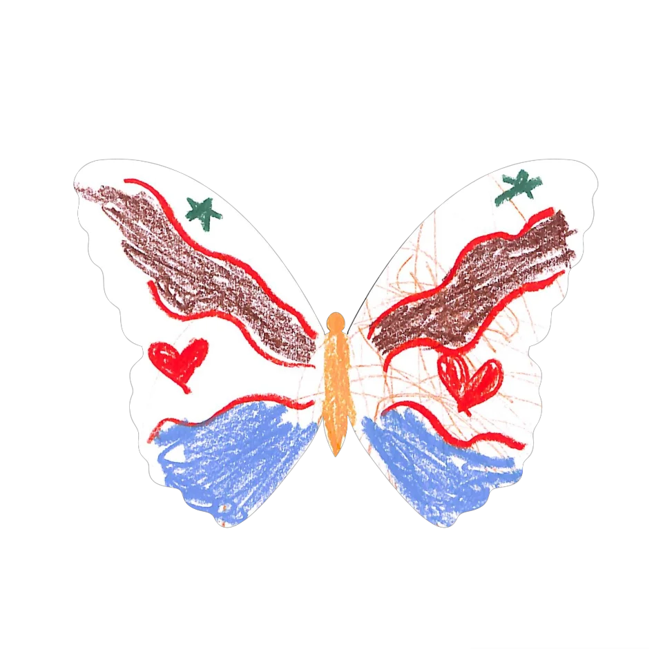 Original Butterfly Image