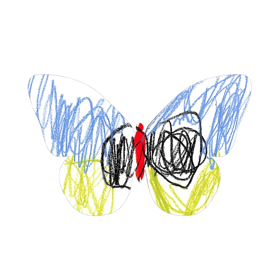 Original Butterfly Image