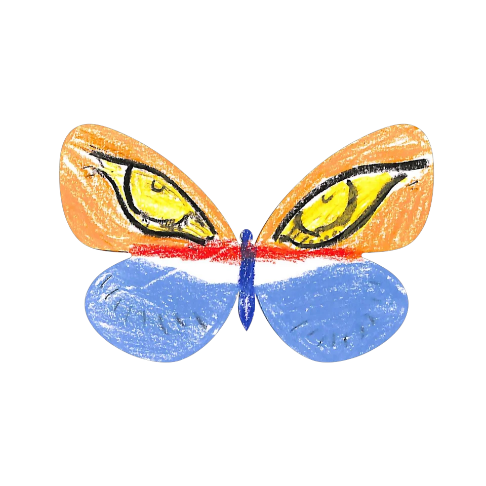 Original Butterfly Image
