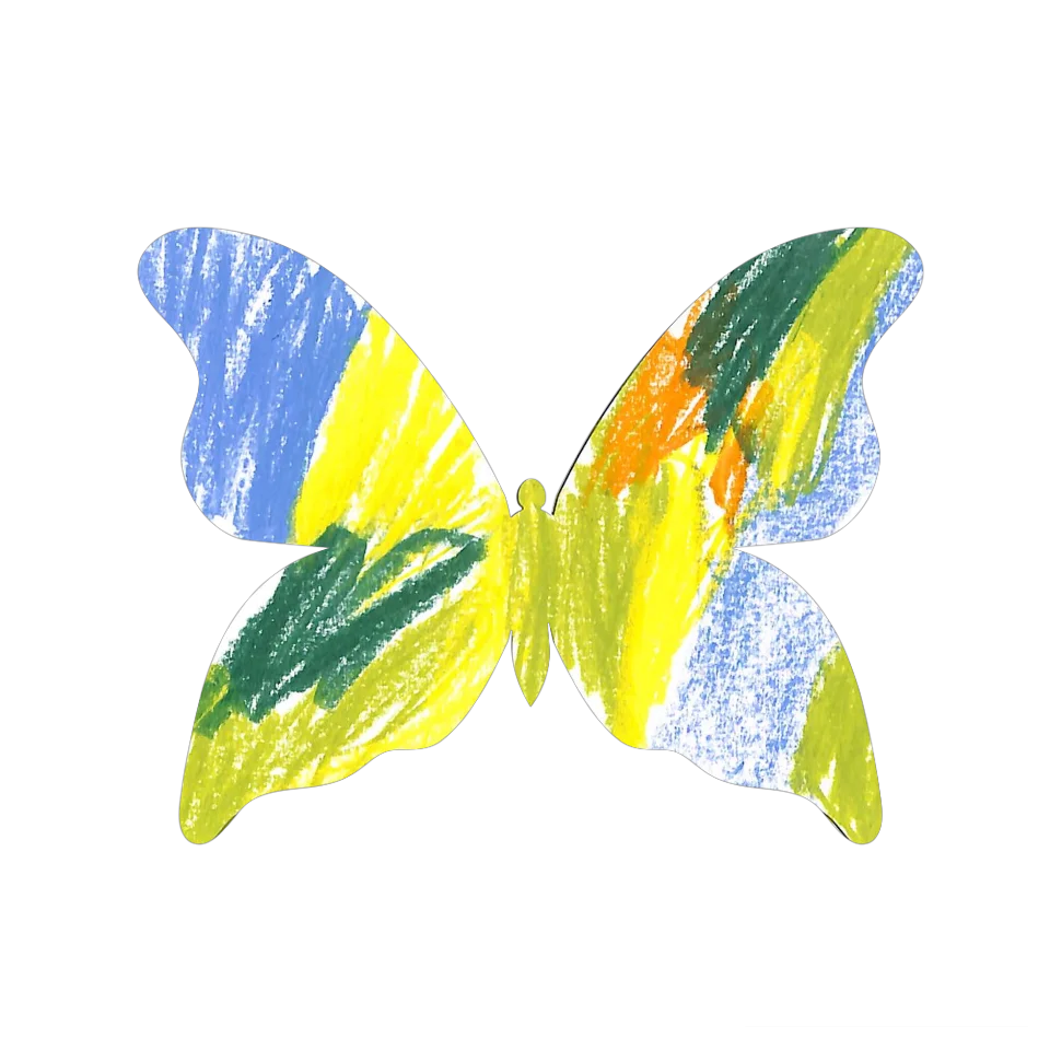 Original Butterfly Image