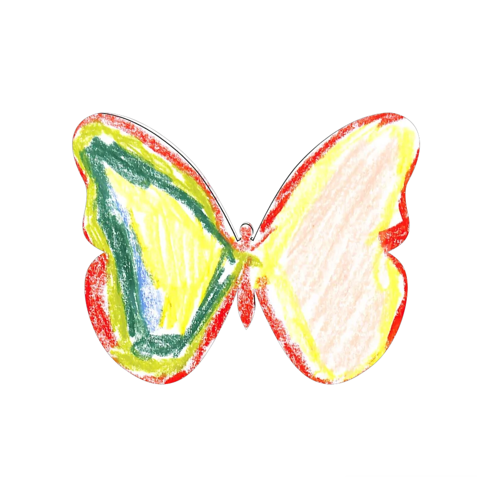 Original Butterfly Image