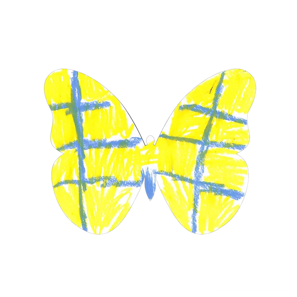 Original Butterfly Image