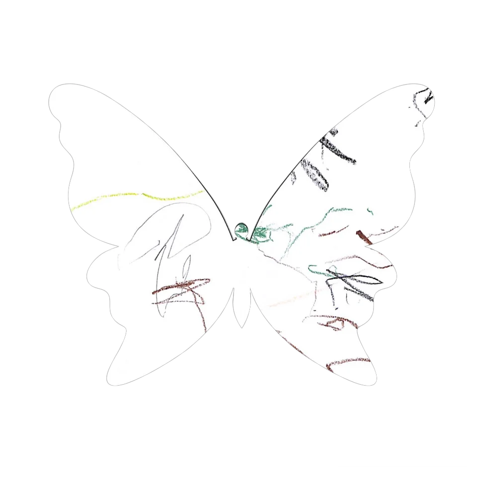 Original Butterfly Image
