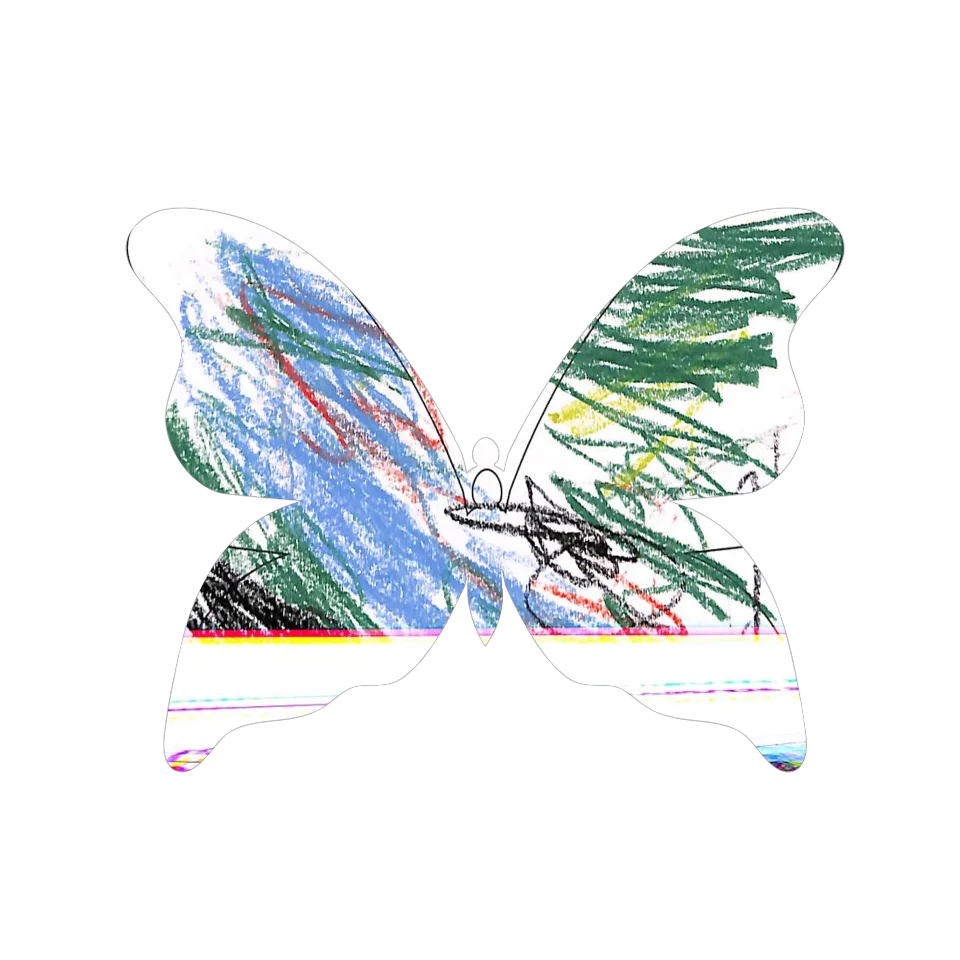 Original Butterfly Image
