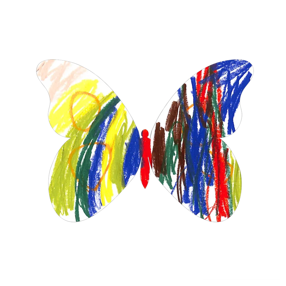 Original Butterfly Image