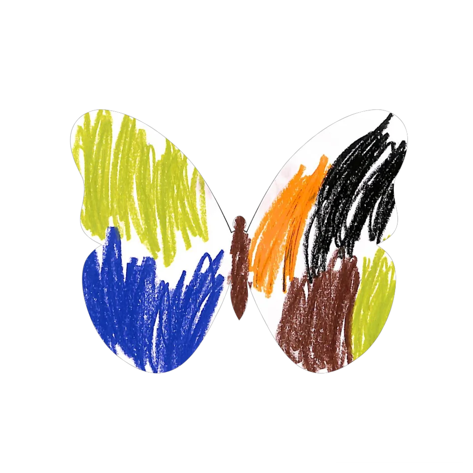 Original Butterfly Image