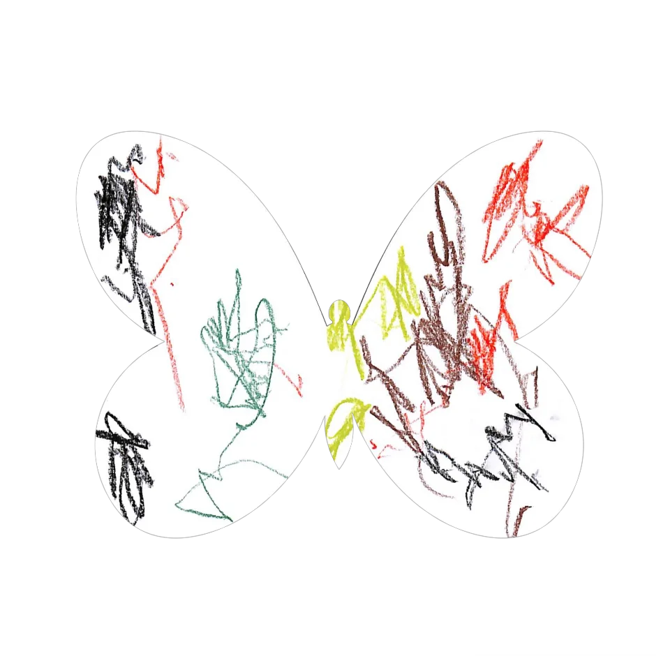 Original Butterfly Image