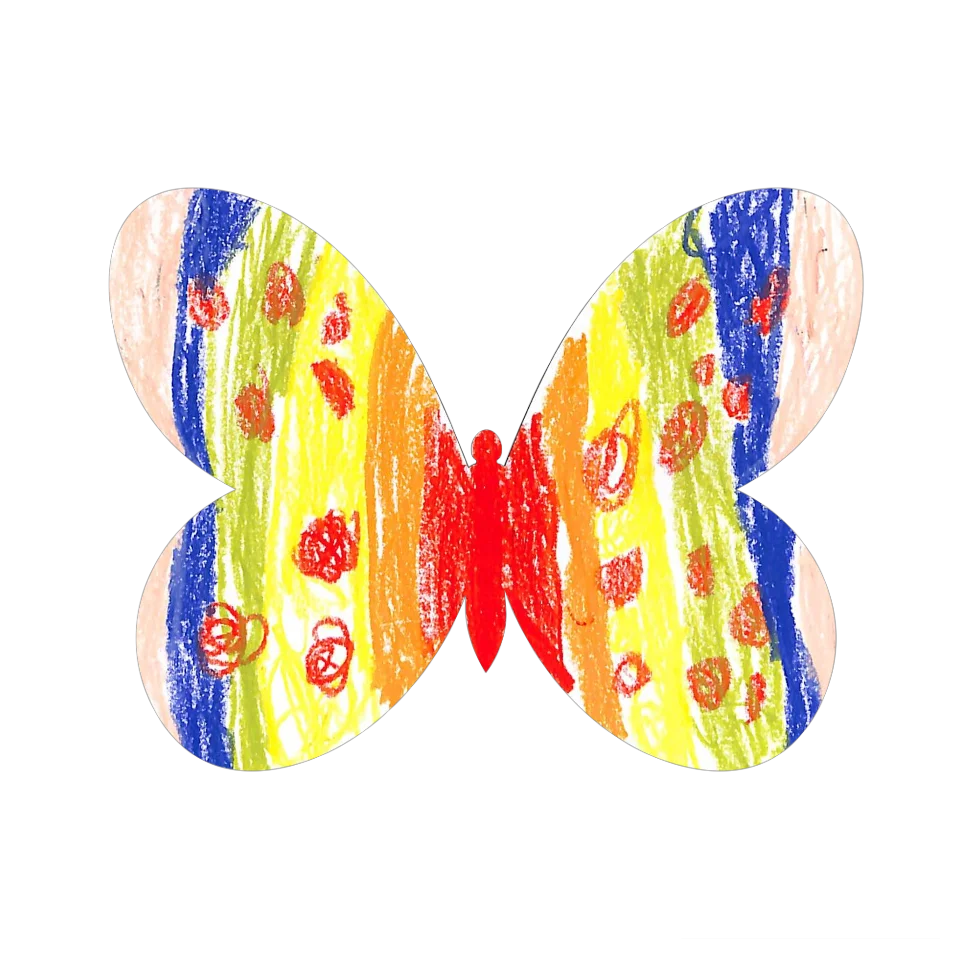 Original Butterfly Image