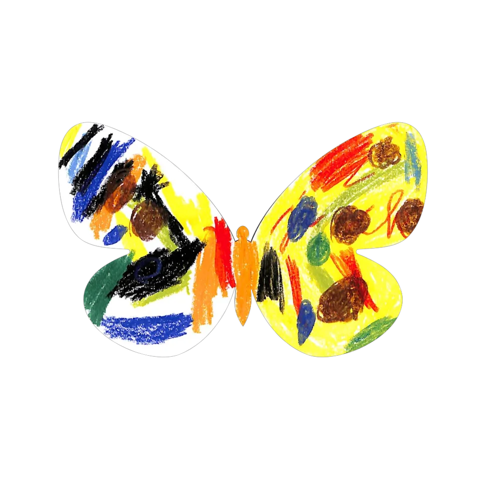 Original Butterfly Image