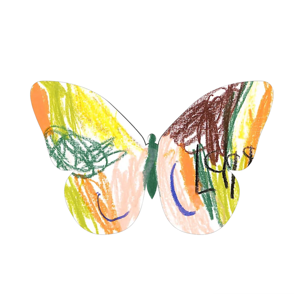 Original Butterfly Image