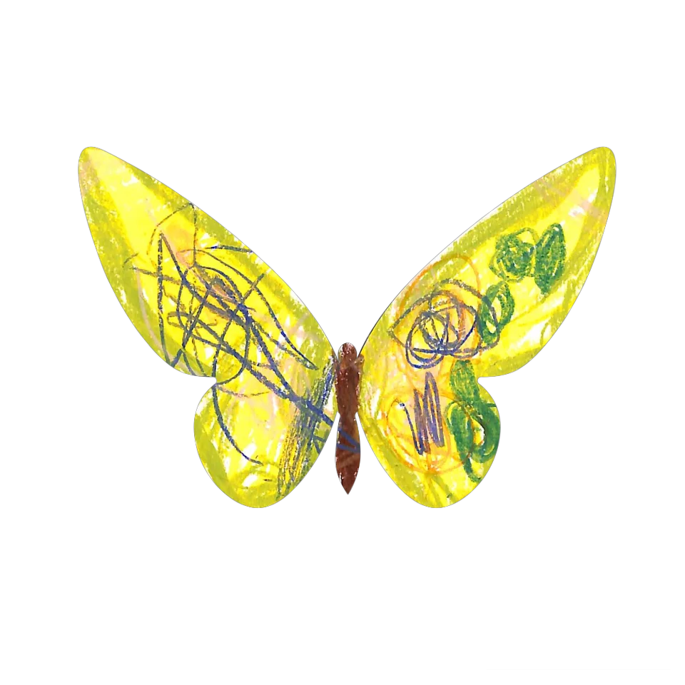 Original Butterfly Image