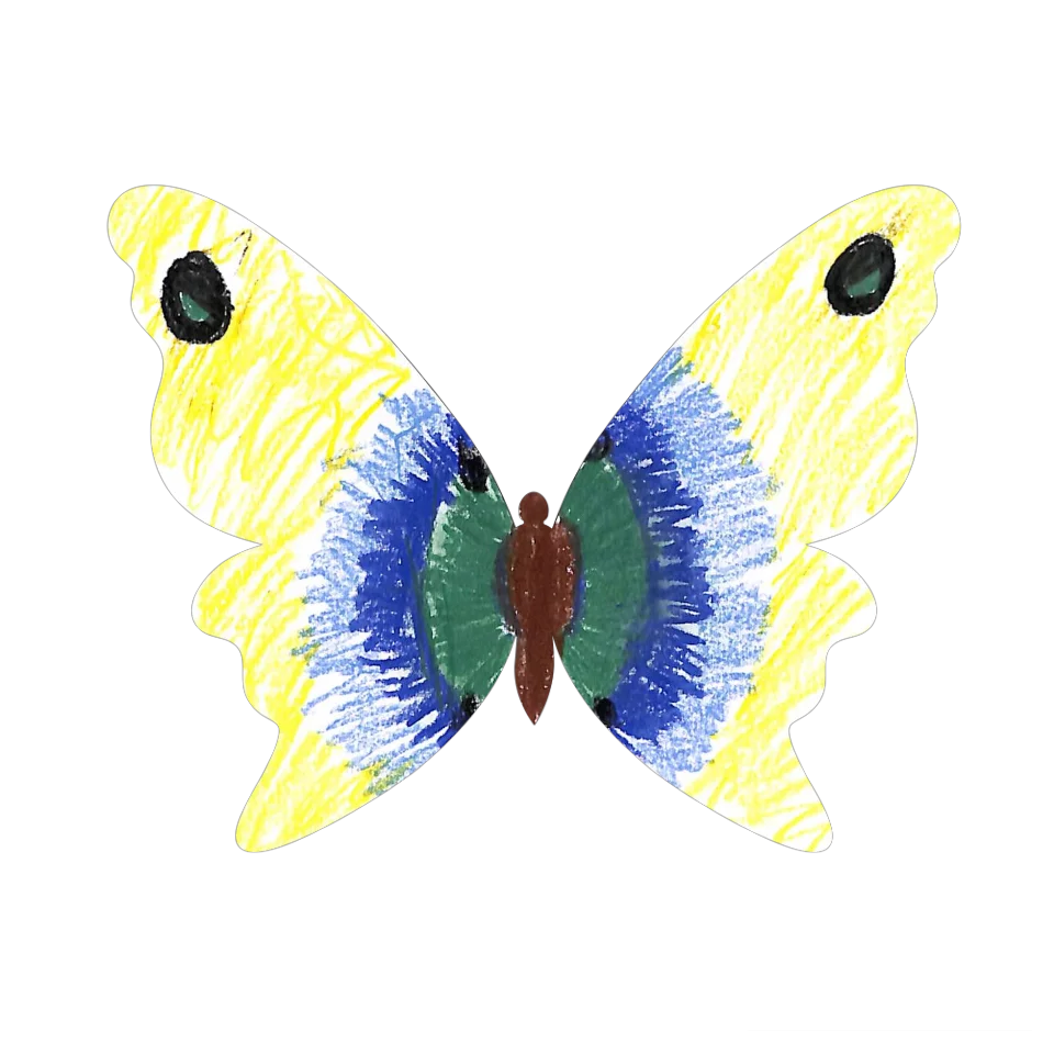 Original Butterfly Image