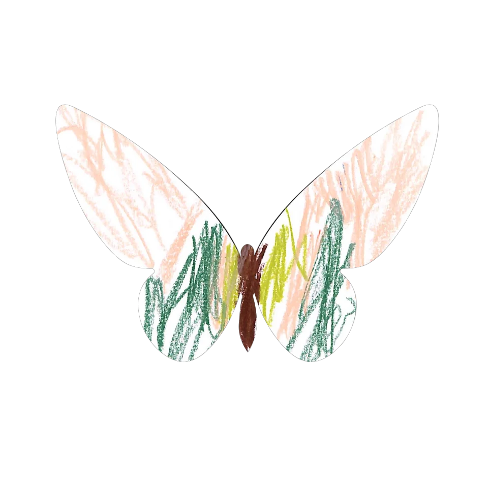 Original Butterfly Image