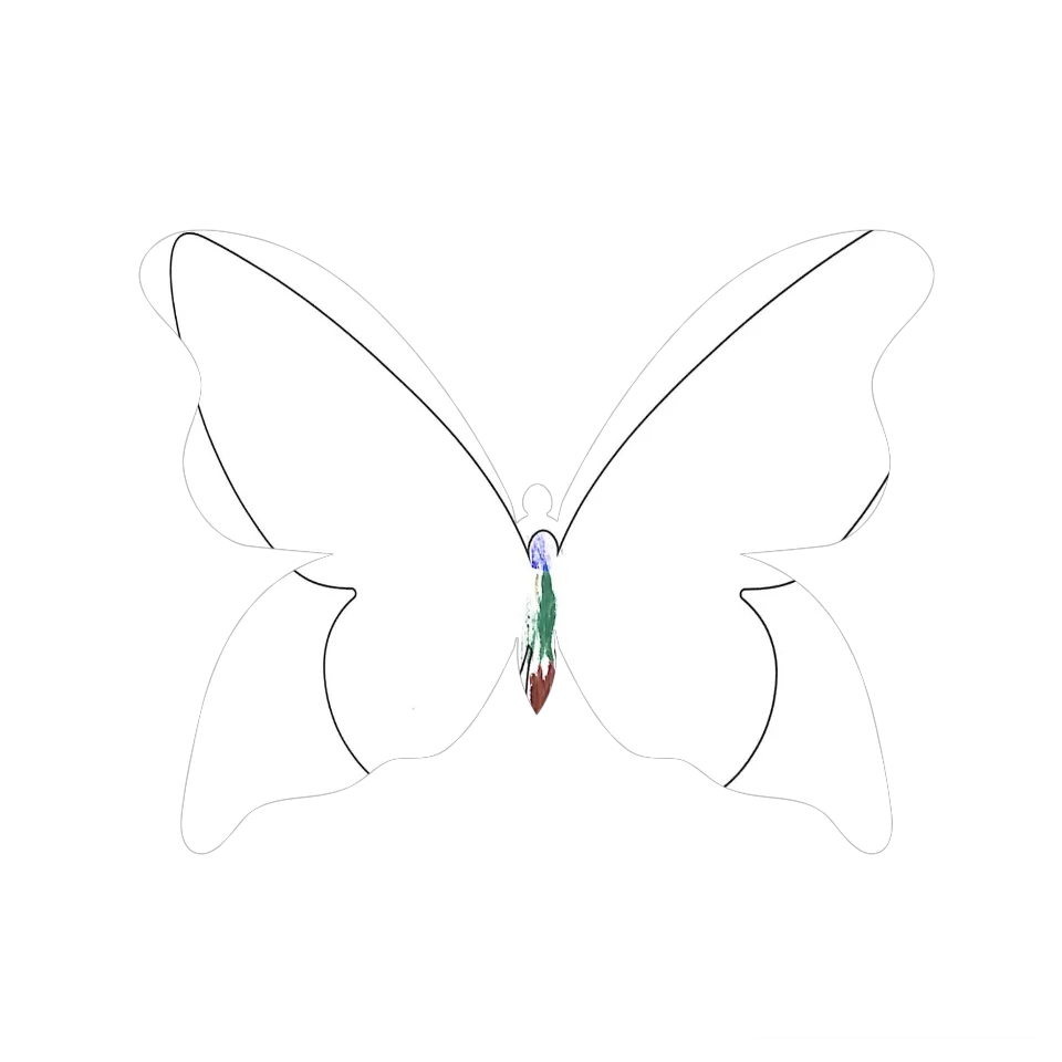 Original Butterfly Image