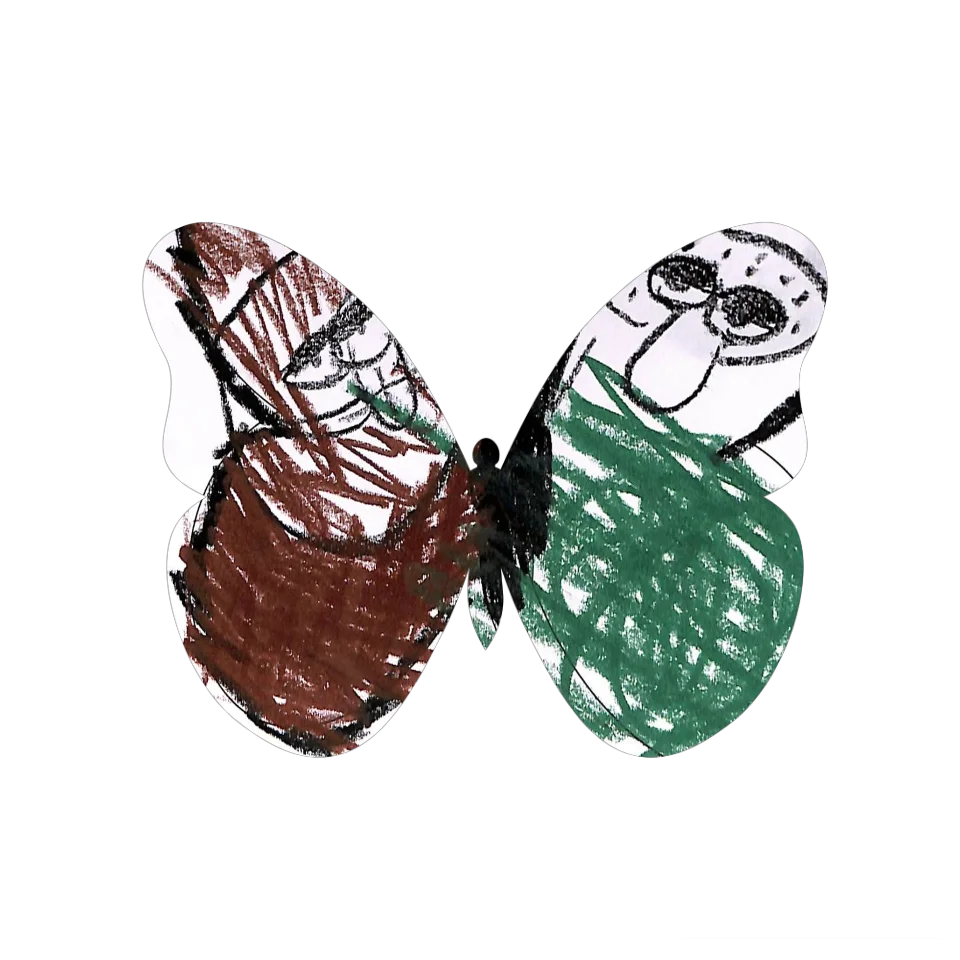 Original Butterfly Image