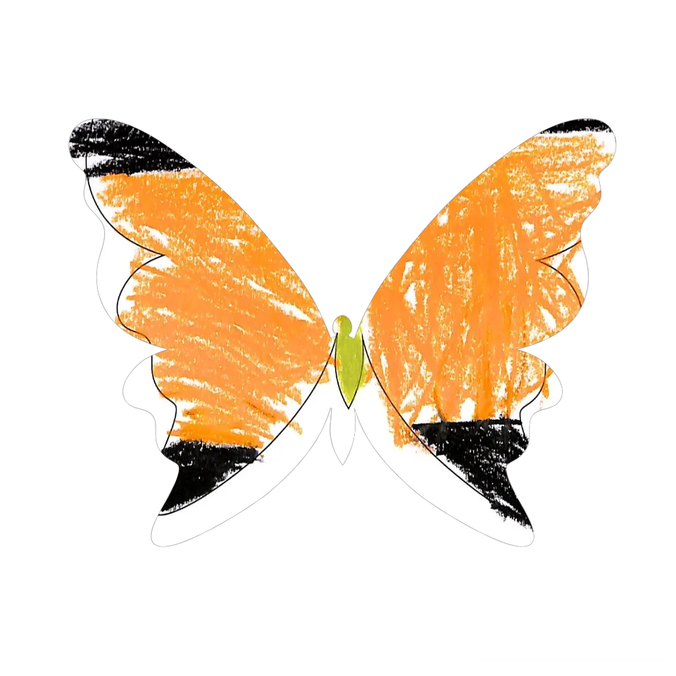 Original Butterfly Image