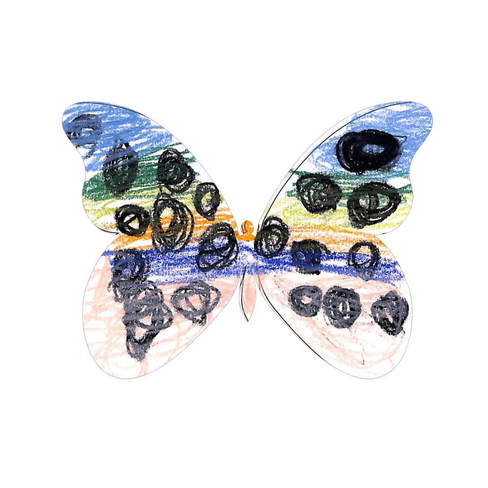 Original Butterfly Image