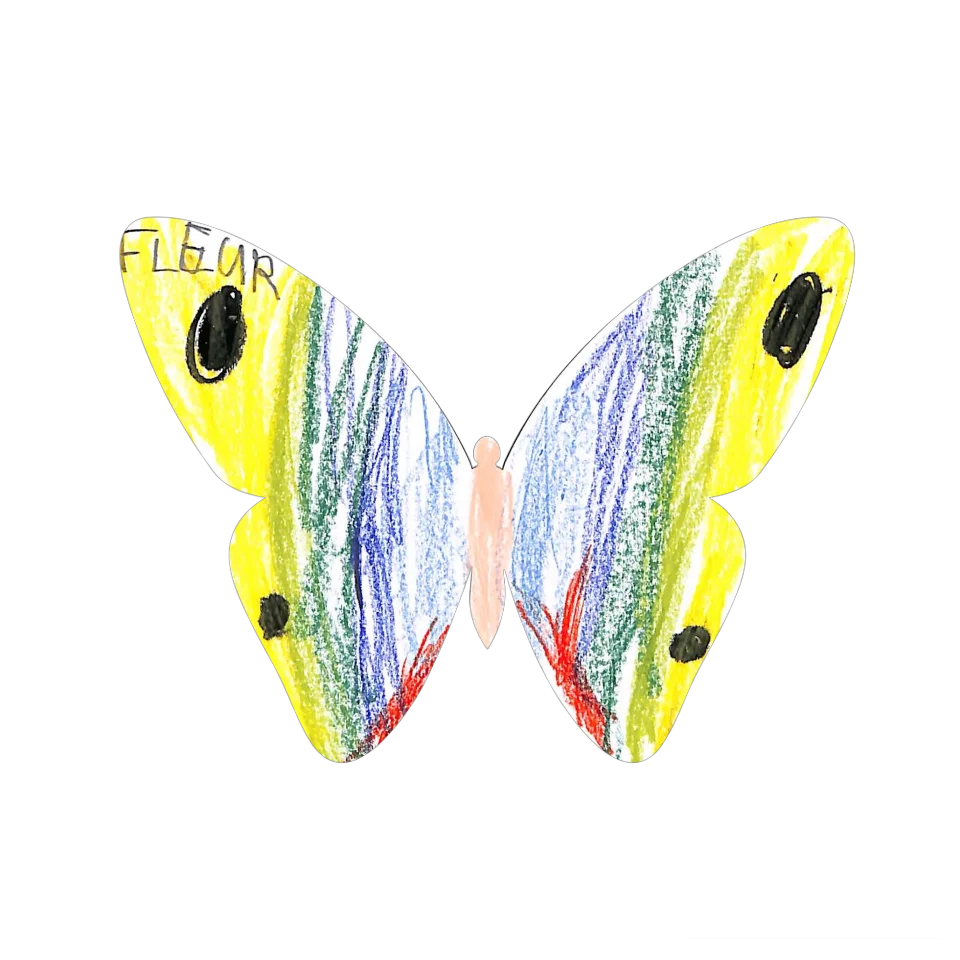 Original Butterfly Image