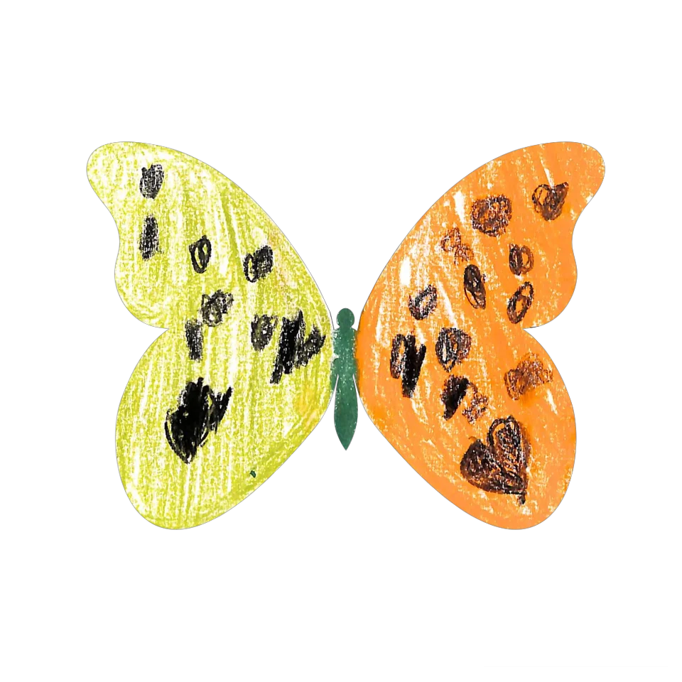 Original Butterfly Image